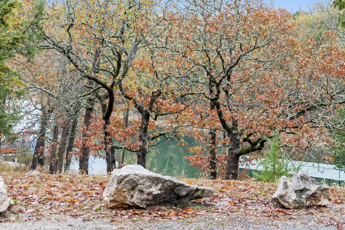 This image showcases an exterior scene with leafless trees dressed in autumn foliage, large rocks, and calm water in the background. The atmosphere is one of serene natural beauty, with open space perfect for walks and reflection.