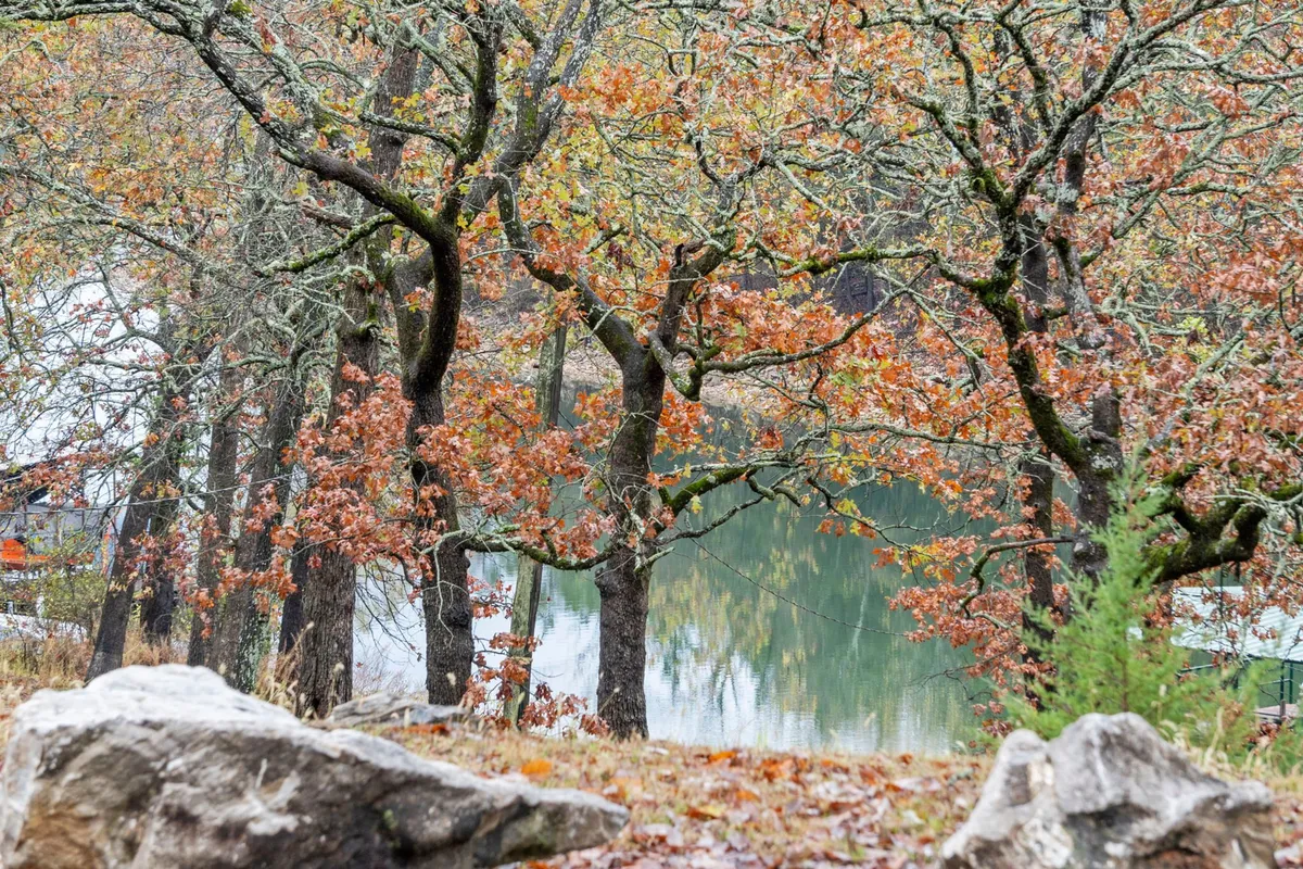 The image features the serene exterior landscape of Table Rock Lake in autumn, with vibrant fall foliage on the trees, a calm reflective water surface, and natural rock formations in the foreground. The setting is tranquil and invites nature appreciation, relaxation, and outdoor exploration.